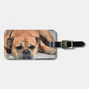 Étiquette À Bagage Bull Dog