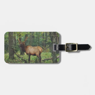 Étiquette À Bagage Bull Male Elk à autumn field