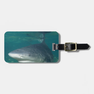 Étiquette À Bagage Bullshark