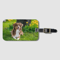 Cadeau Personnalisé avec Photo de Compagnon à Quat