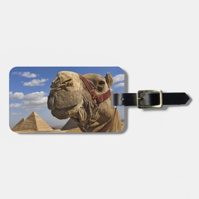 Étiquette À Bagage Camel devant les pyramides de Gizeh, Egypte, (Devant horizontal)