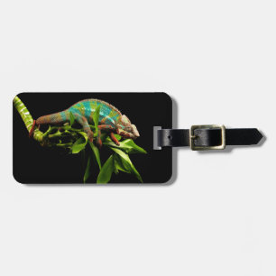 Étiquette À Bagage Caméléon
