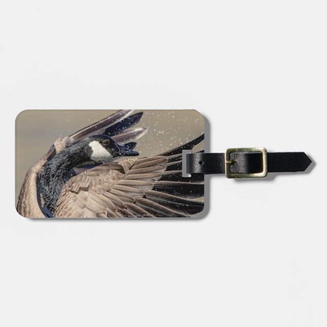 Étiquette À Bagage Canada Goose (Devant horizontal)