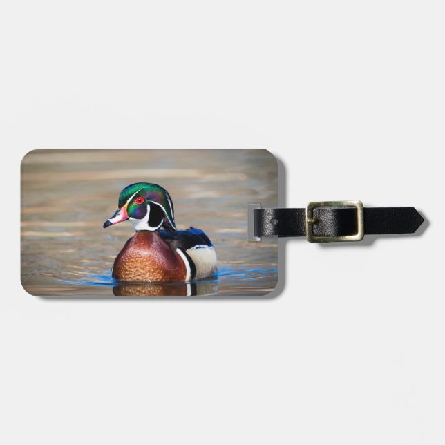 Étiquette À Bagage Canard à bois dans un étang (Devant horizontal)