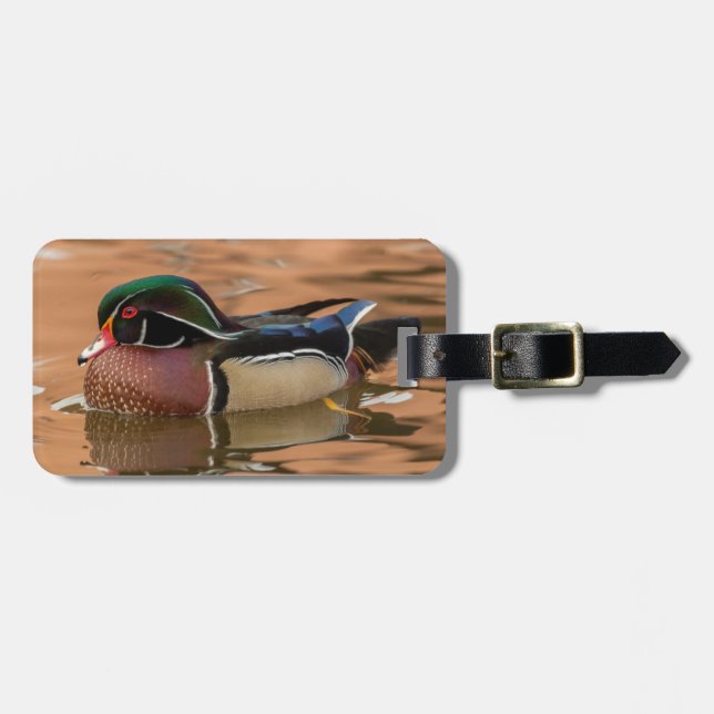 Étiquette À Bagage Canard branchu nageant dans l'eau (Devant horizontal)