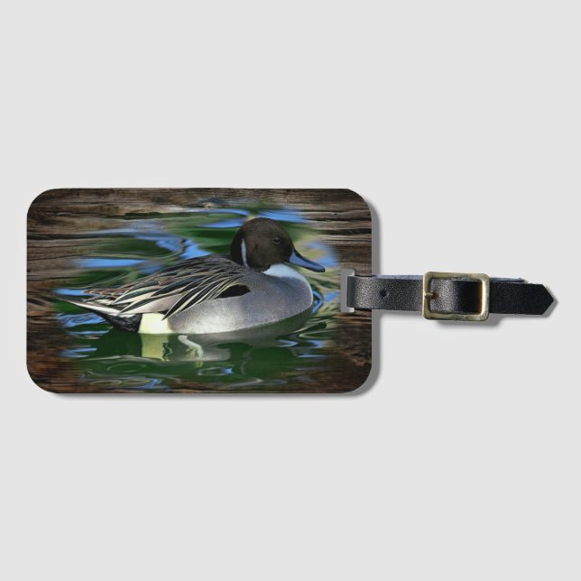 Étiquette À Bagage Canard De Mallard Sur Le Lac (Devant Horizontal)