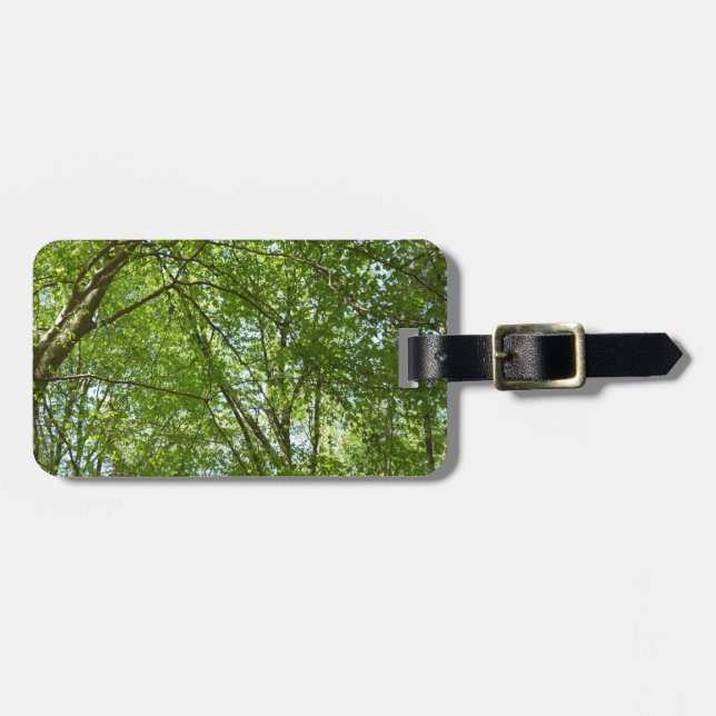 Étiquette À Bagage Canopée du printemps Feuille Green Nature Scene (Devant horizontal)
