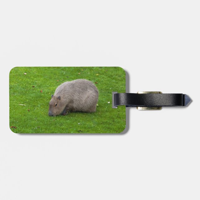 Étiquette À Bagage Capybara Animal Incroyable (Dos horizontal)