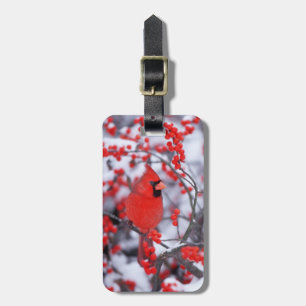 Étiquette À Bagage Cardinal du Nord, Hiver, IL