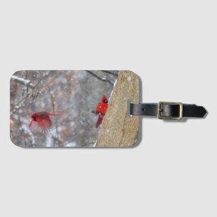 Étiquette À Bagage Cardinaux dans la neige