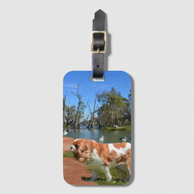 Étiquette À Bagage Cavalier Spaniel Et Pélicans, (Devant Vertical)