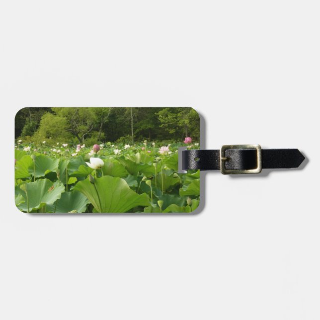 Étiquette À Bagage Champ de fleurs de Lotus Jardin d'été (Devant horizontal)