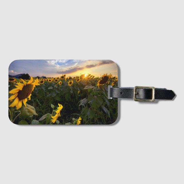 Étiquette À Bagage Champ des tournesols de floraison (Devant Horizontal)