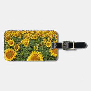 Étiquette À Bagage Champs de tournesols, ville de collines blanches d