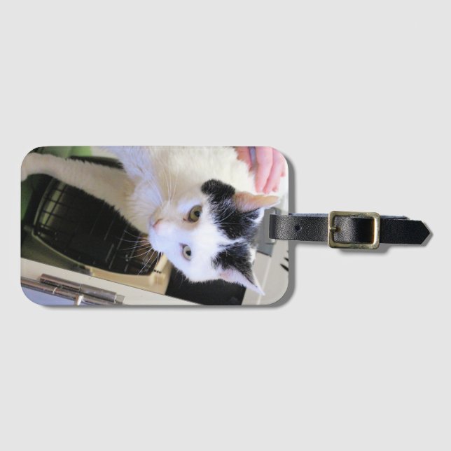 Étiquette À Bagage Chat   (Devant Horizontal)