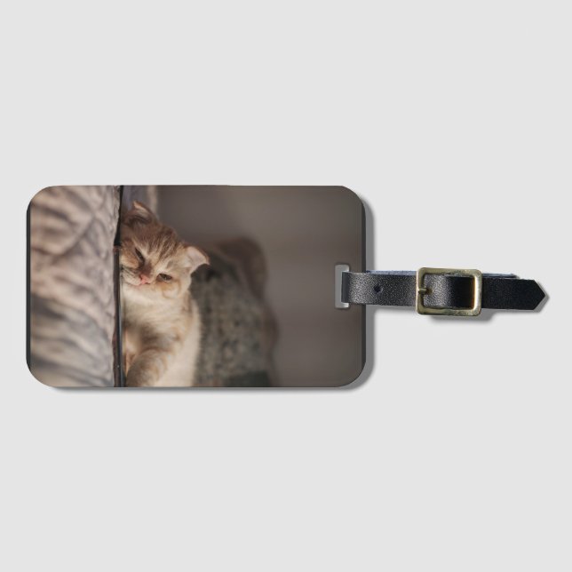 Étiquette À Bagage Chat, Animal De Compagnie, Kitten (Devant Horizontal)