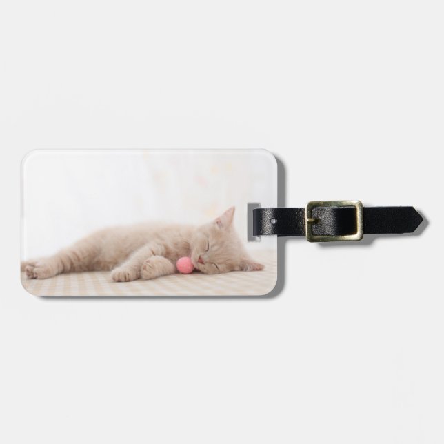 Étiquette À Bagage Chat britannique de Shorthair (Devant horizontal)