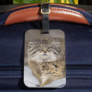 Étiquette À Bagage Chat de Pallas dans la neige