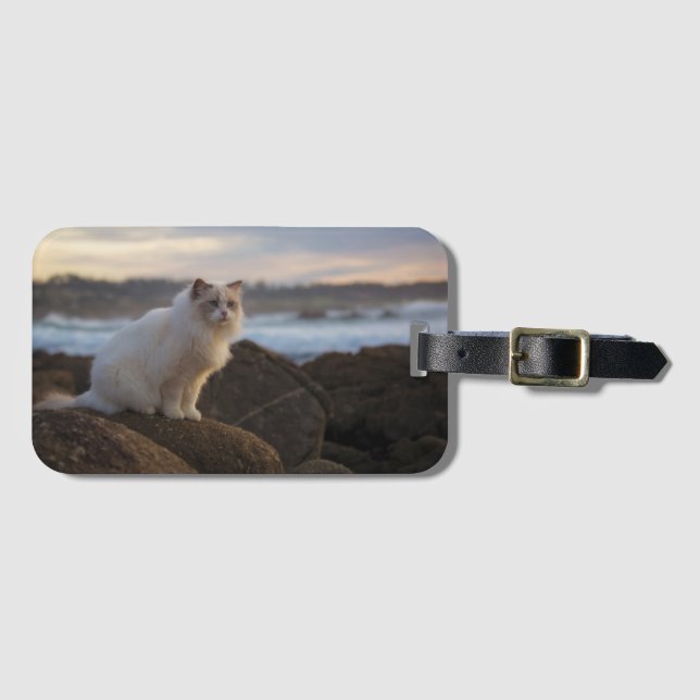 Étiquette À Bagage Chat de Ragdoll à la plage (Devant Horizontal)