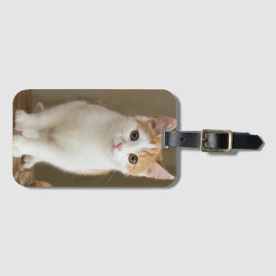Étiquette À Bagage Chat, Gingembre, Animal de compagnie