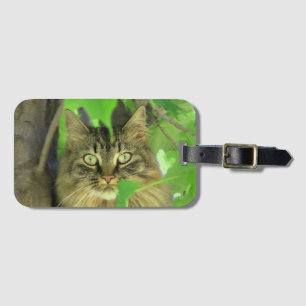 Étiquette À Bagage Chat Maine Coon dans l'arbre