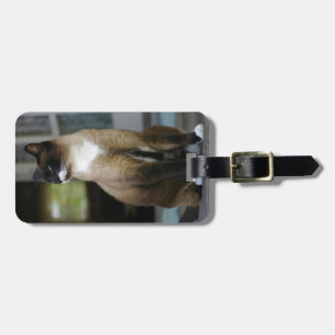 Étiquette À Bagage Chat siamois sur le porche