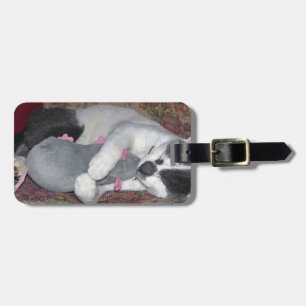 Étiquette À Bagage Chaton couchant