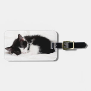 Étiquette À Bagage Chaton de sommeil