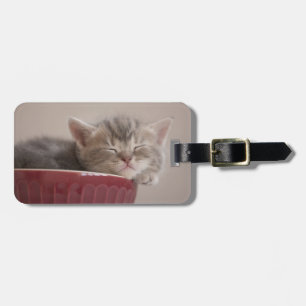 Étiquette À Bagage Chaton dormant dans une cuvette