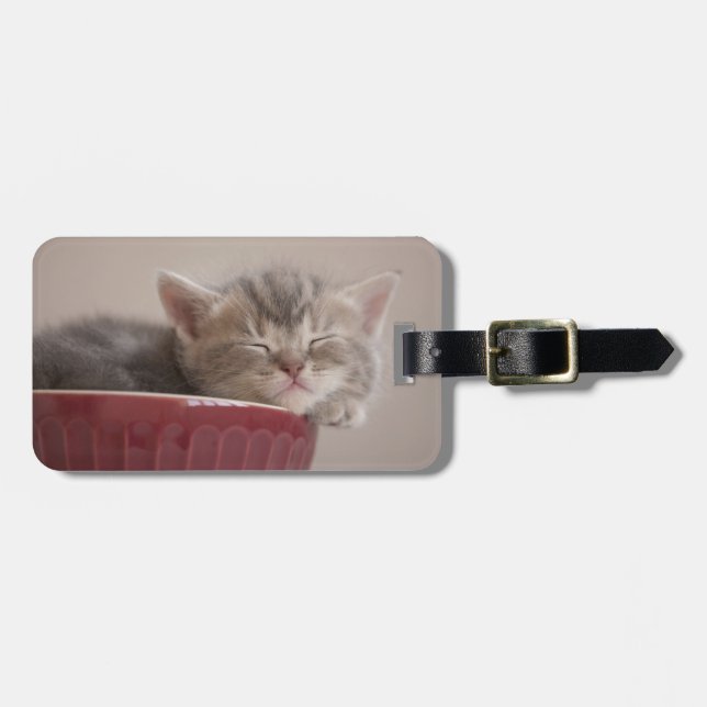 Étiquette À Bagage Chaton dormant dans une cuvette (Devant horizontal)