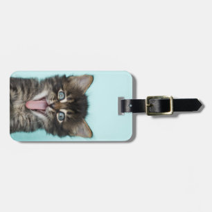 Étiquette À Bagage Chaton idiot de MERLIN