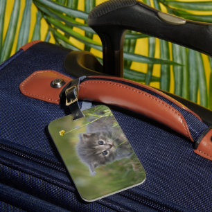 Étiquette À Bagage Chaton Personnalisé Mignon