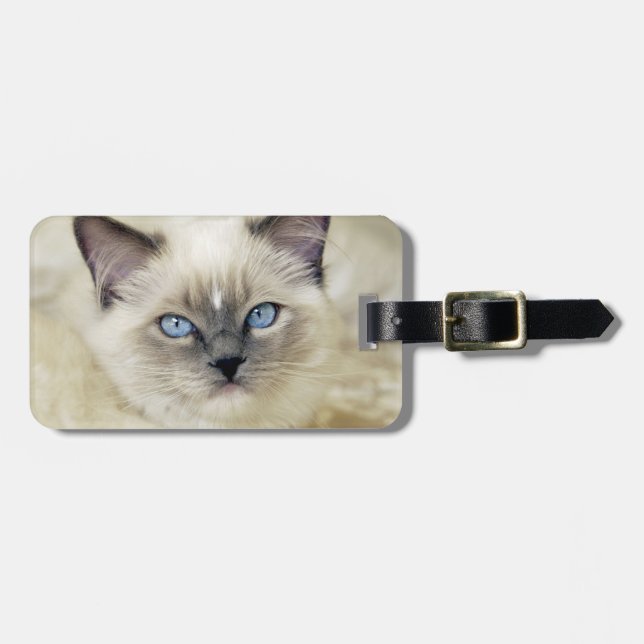Étiquette À Bagage chaton Ragdoll (Devant horizontal)