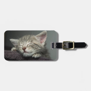 Étiquette À Bagage Chaton somnolent