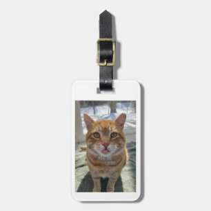 Étiquette À Bagage Chats Sassy