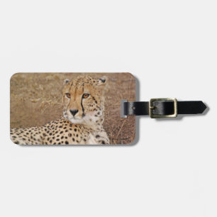 Étiquette À Bagage Cheetah