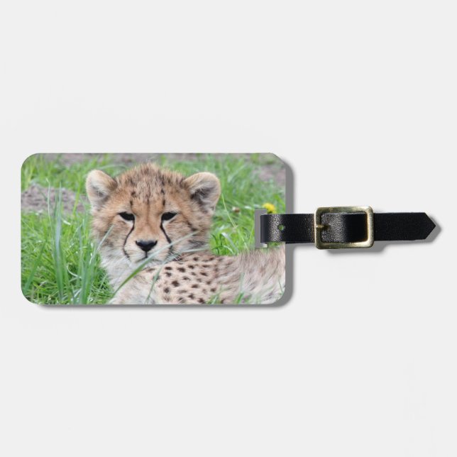 Étiquette À Bagage Cheetah20150904 (Devant horizontal)