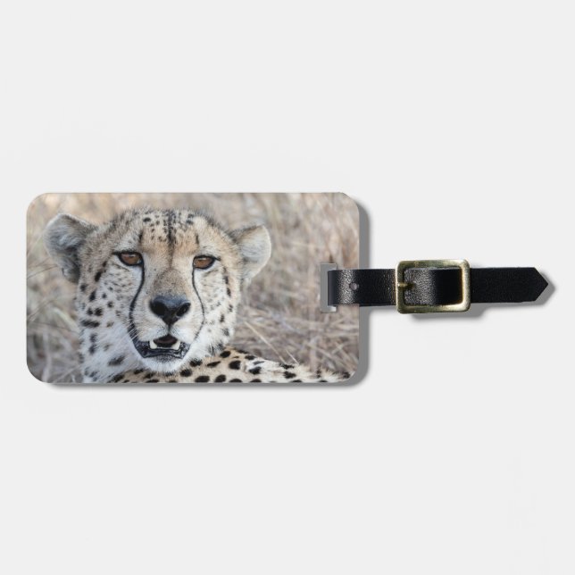 Étiquette À Bagage Cheetah Portrait (Devant horizontal)