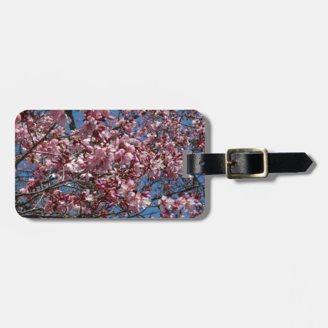 Étiquette À Bagage Cherry Blossoms et Blue Sky Spring Floral (Devant horizontal)