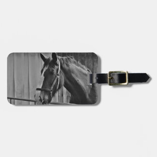 Étiquette À Bagage Cheval blanc noir - Art de la photographie animale