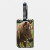 Cheval Bonjour