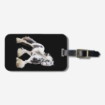 Cheval d'attelage Gypsy Mare Stallion