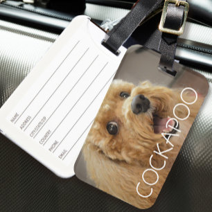 Étiquette À Bagage Chien Animal De Compagnie Cockapoo Mignon Amoureux
