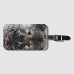 Étiquette À Bagage Chien, animal, tendance eurasier