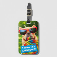 Chien avec la grosse sucette