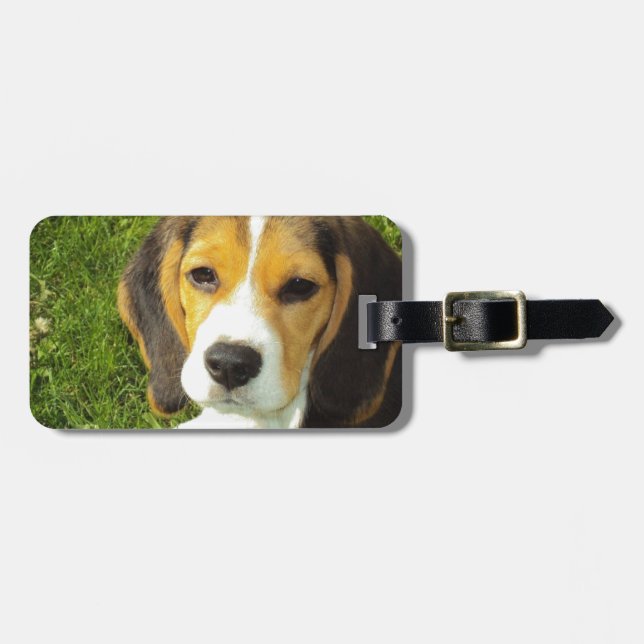 Étiquette À Bagage Chien beagle Animaux de compagnie Paix Amour (Devant horizontal)