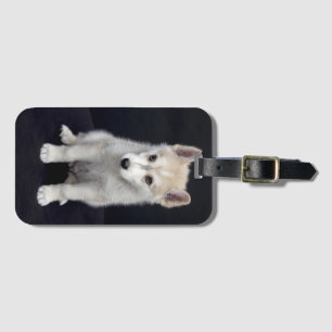 Étiquette À Bagage Chien de chiot