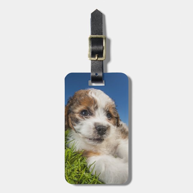 Étiquette À Bagage Chien de chiot mou (Shitzu) (Devant Vertical)
