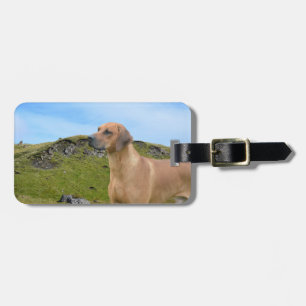 Étiquette À Bagage Chien doux de Rhodesian Ridgeback