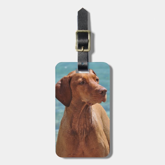 Étiquette À Bagage Chien Magyar Vizsla (Devant Vertical)